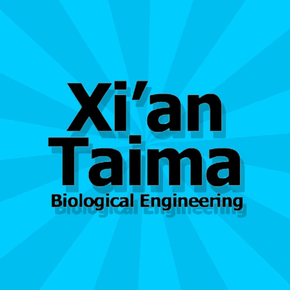 Готовая основа Xian Taima (Hiliq)